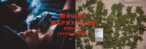 spice Аркадак