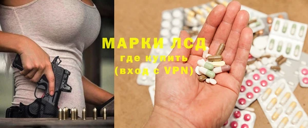 spice Аркадак