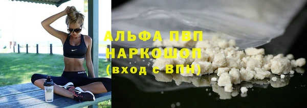 spice Аркадак