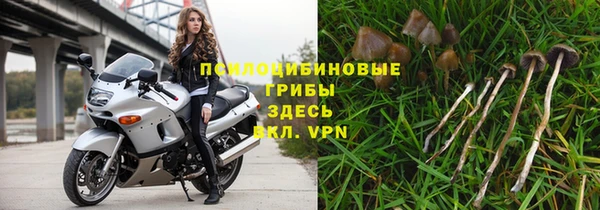 spice Аркадак