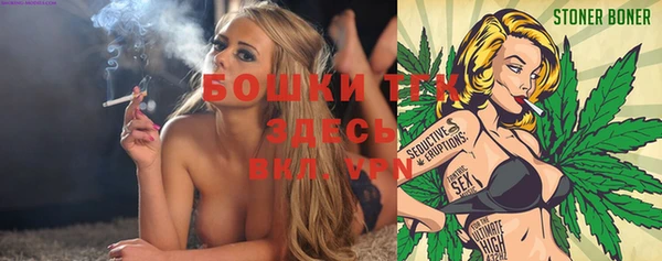 spice Аркадак