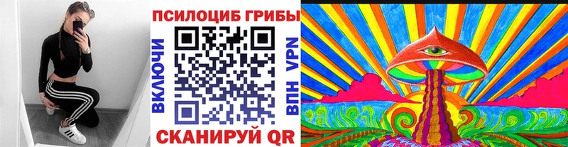 Псилоцибиновые грибы мухоморы  Сланцы 